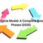 Waterfall Life Cycle Model: A Complete Breakdown of All Phases (2025)